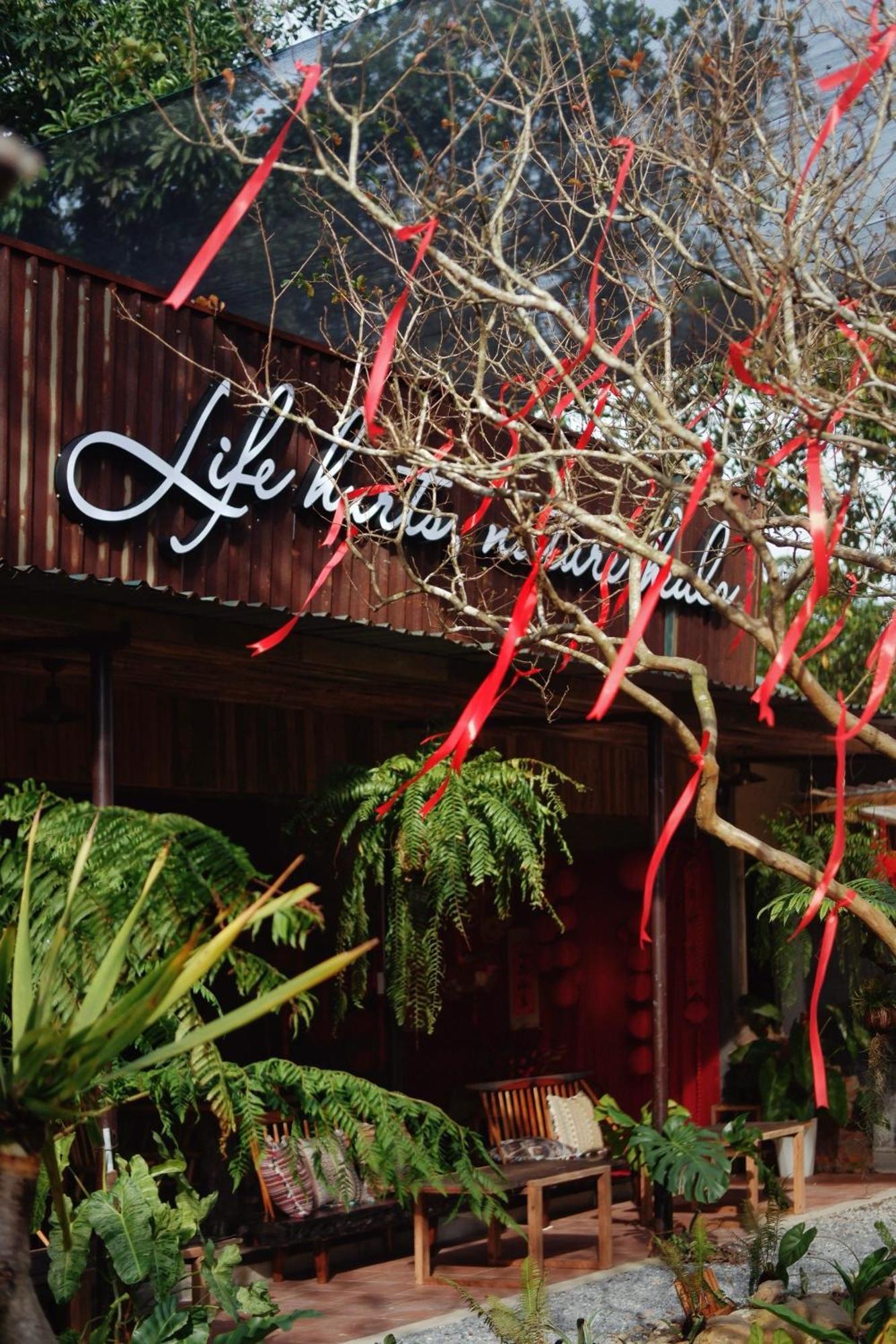 Harmony Garden - Home And Coffee Hue Esterno foto